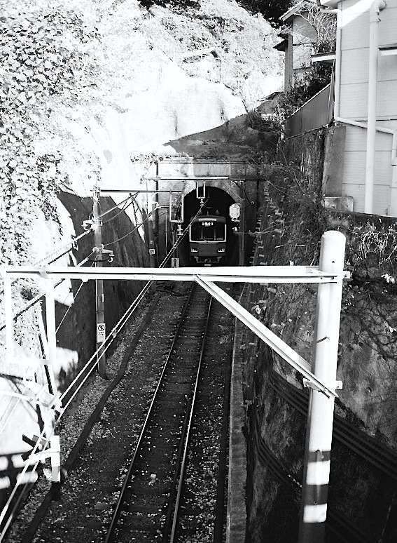 d0175768_21472075.jpg