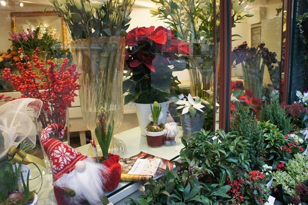 e0177271_17343108.jpg