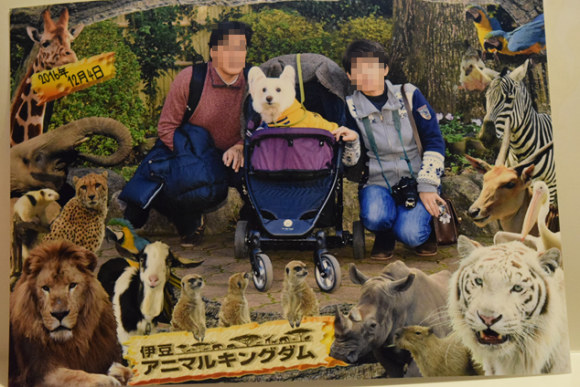 b0242873_00114103.png