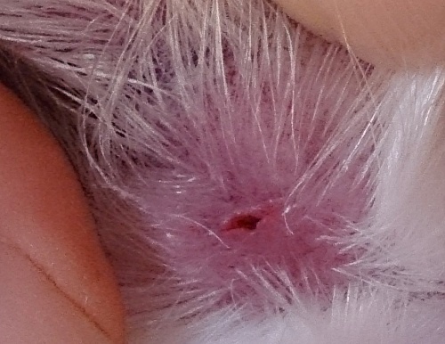 b0136381_15504140.jpg