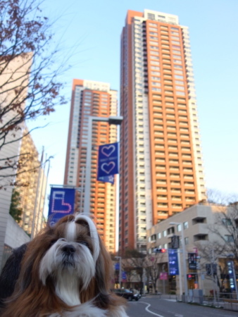 a0198883_22462147.jpg