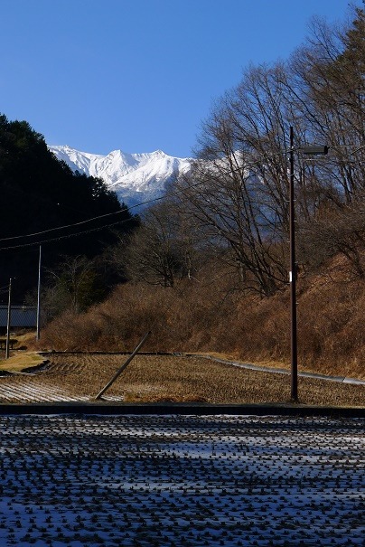 a0130586_16562034.jpg