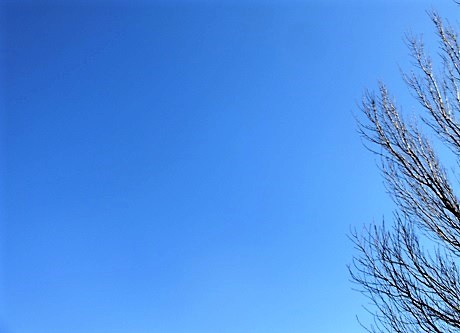 d0151694_22041659.jpg