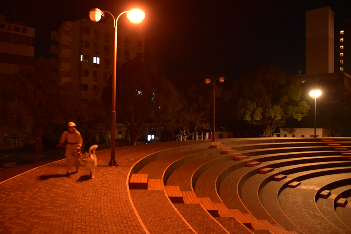 c0049299_21203913.jpg