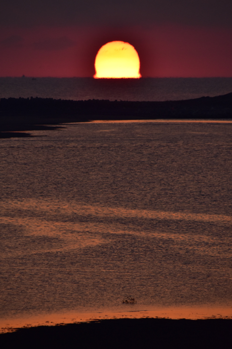 c0049299_21345965.jpg