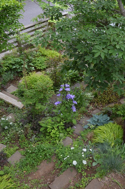 c0124100_1858782.jpg