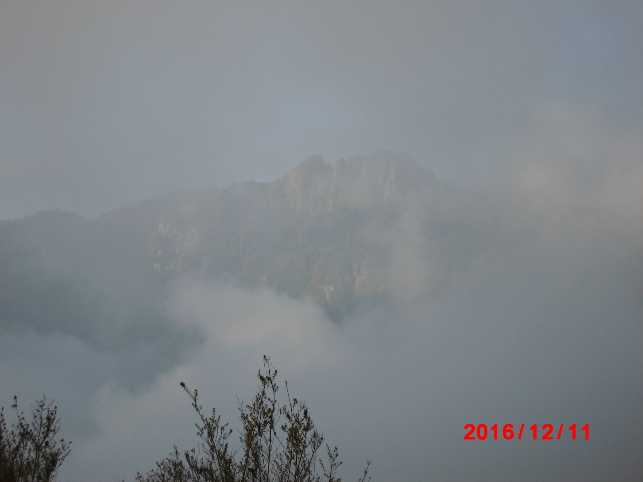 a0019212_15255787.jpg