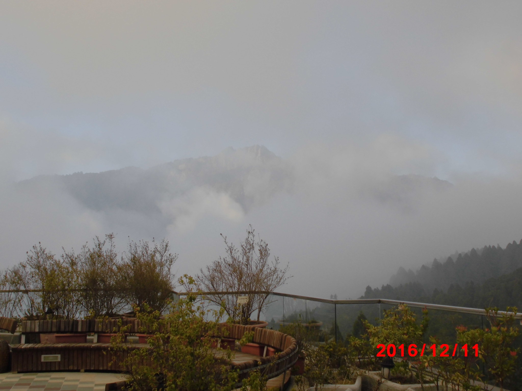 a0019212_18203195.jpg