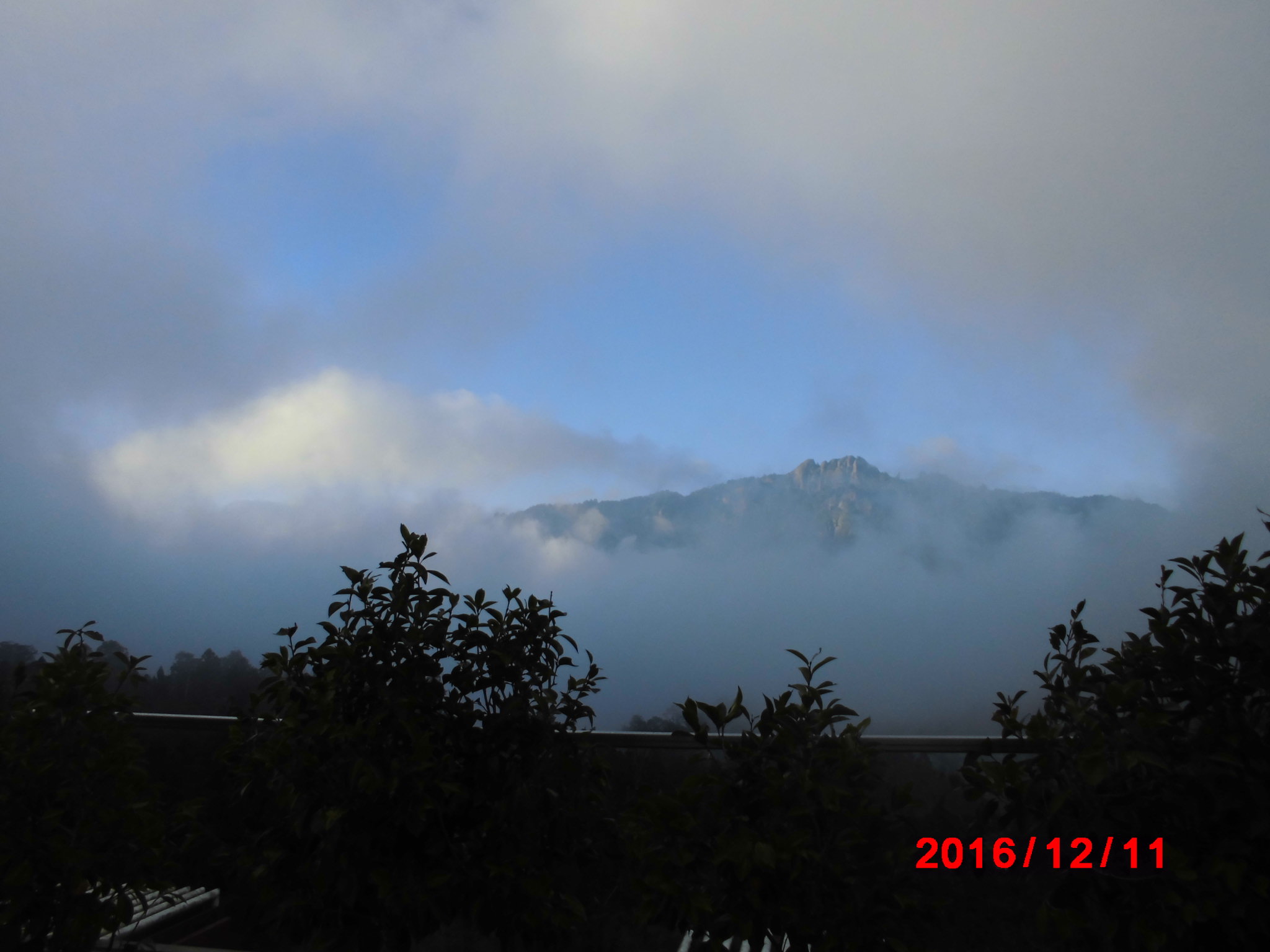 a0019212_18214367.jpg