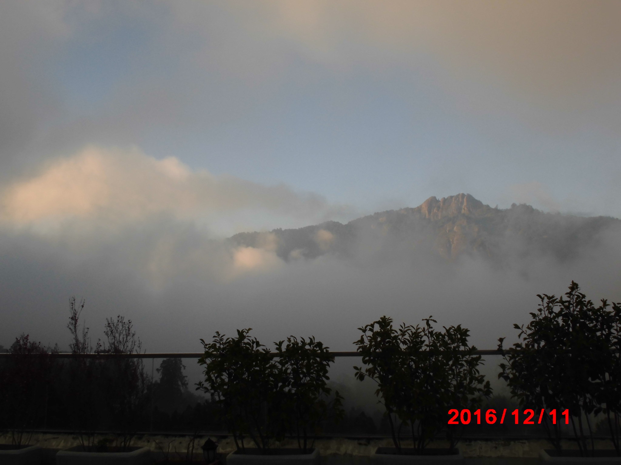 a0019212_18232634.jpg