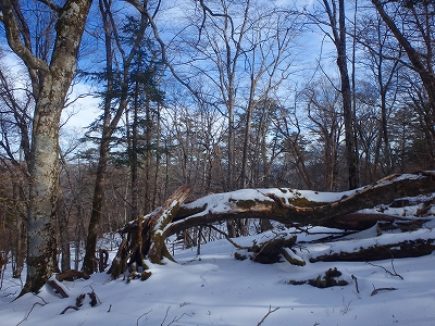 f0193521_10221624.jpg