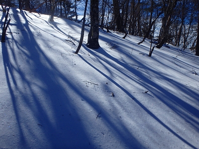 f0193521_7514350.jpg