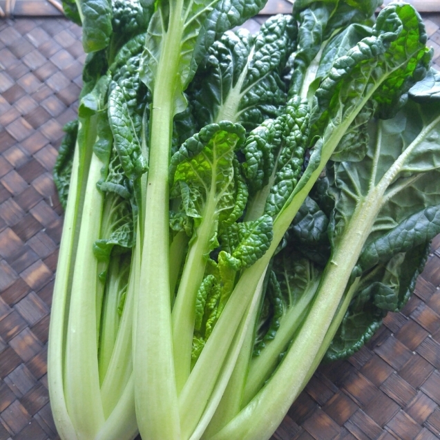 c0124528_16094643.jpg