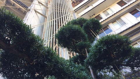 f0112434_1310062.jpg
