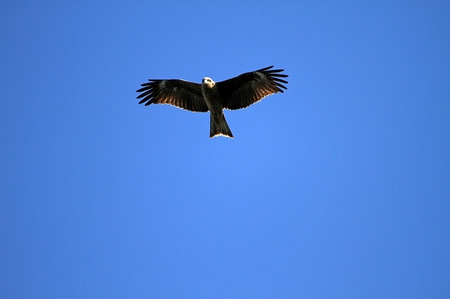 a0242438_20273716.jpg