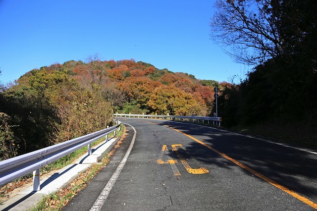 a0242438_20290537.jpg