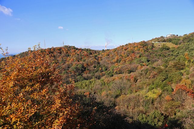 a0242438_20295870.jpg