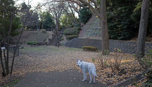 a0117039_2127188.jpg