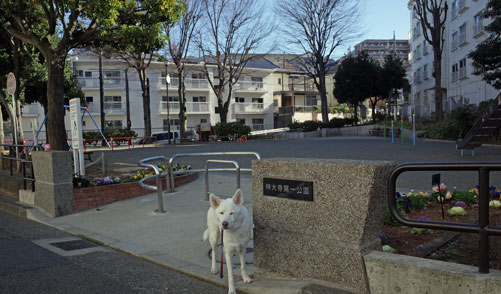 a0117039_2359787.jpg