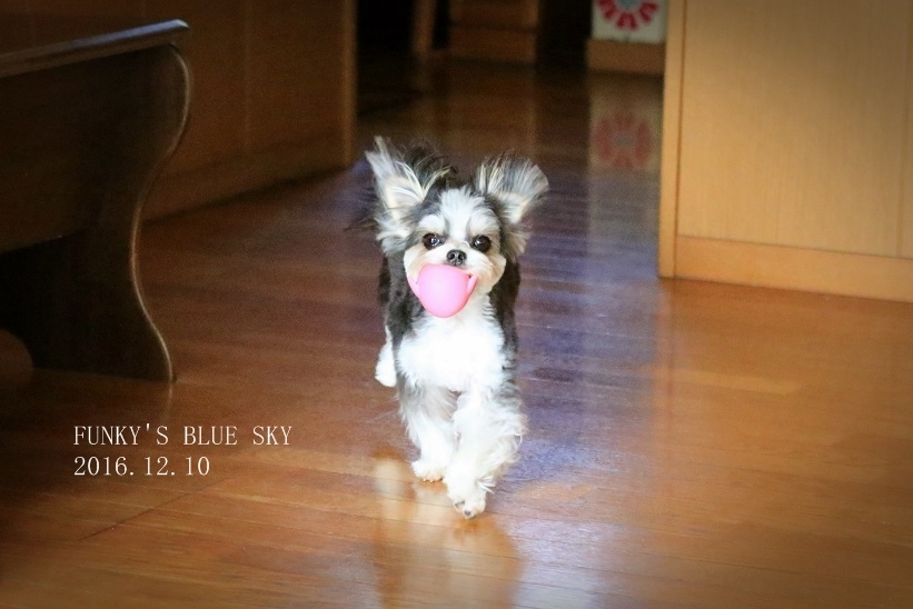 c0145250_10131079.jpg
