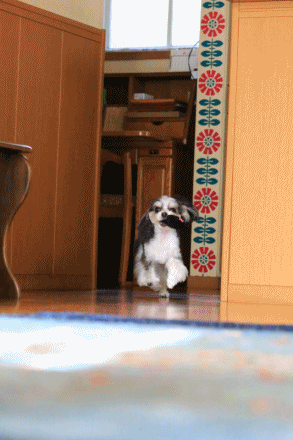 c0145250_10133603.gif