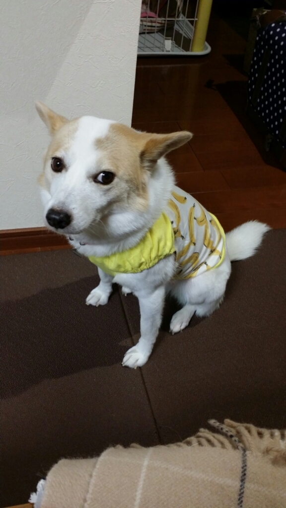f0046854_21342324.jpg