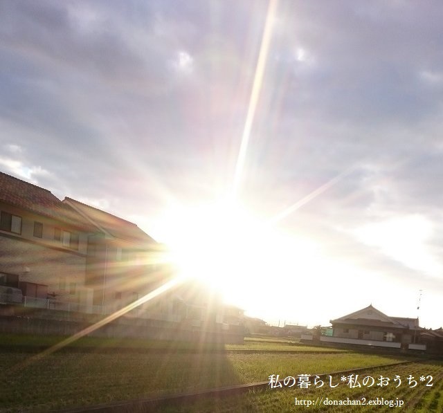e0354456_10031040.jpg