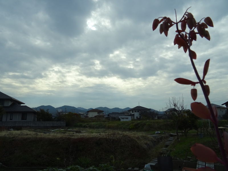 c0108460_20104784.jpg