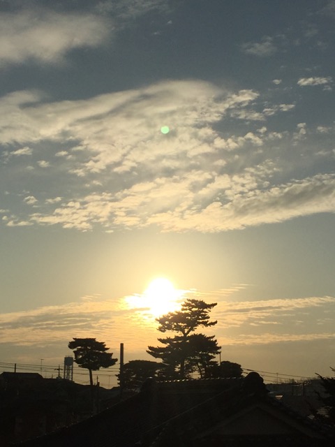 c0008664_8473145.jpg