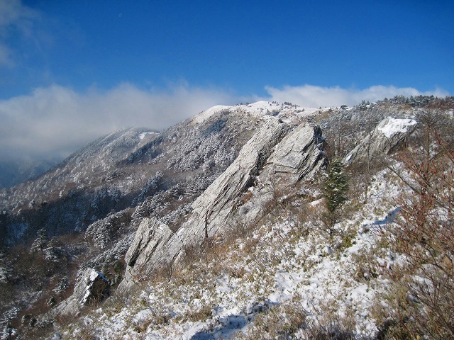 c0219866_17572829.jpg
