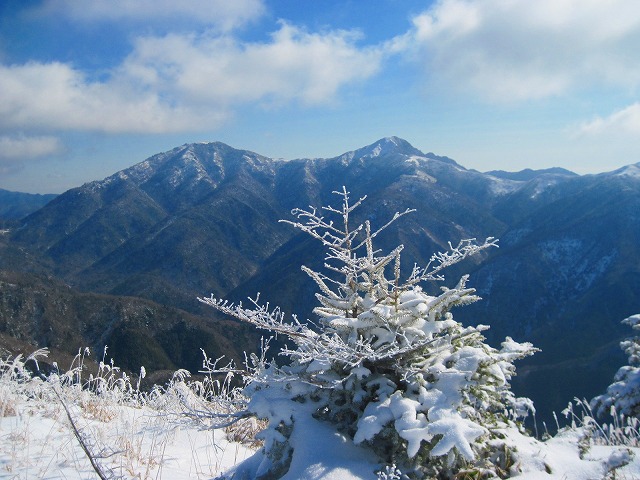 c0219866_17574979.jpg