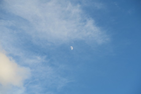 e0292172_20593814.jpg