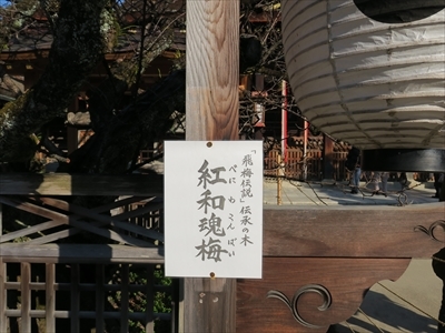e0271890_14294621.jpg