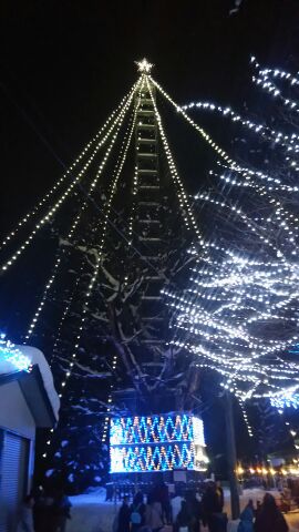 e0317698_2024396.jpg
