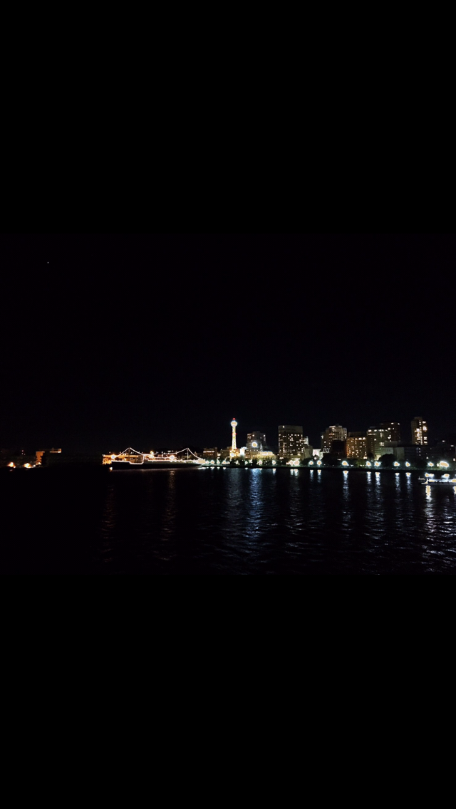 c0311400_18454176.png