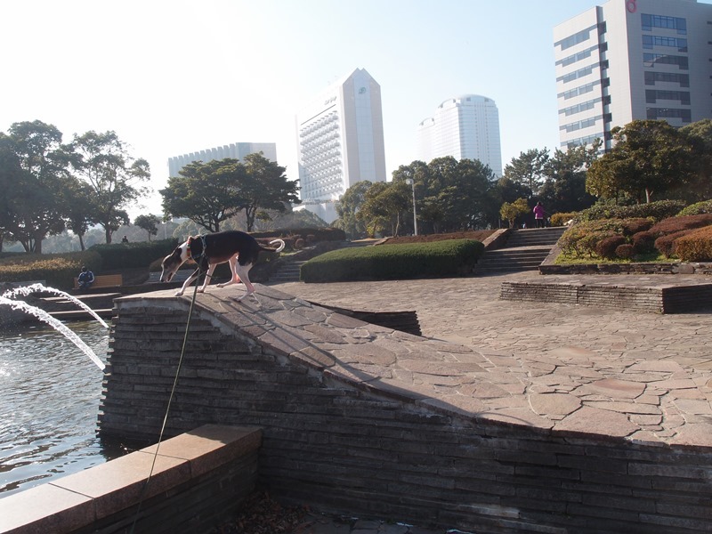 e0018604_20143732.jpg