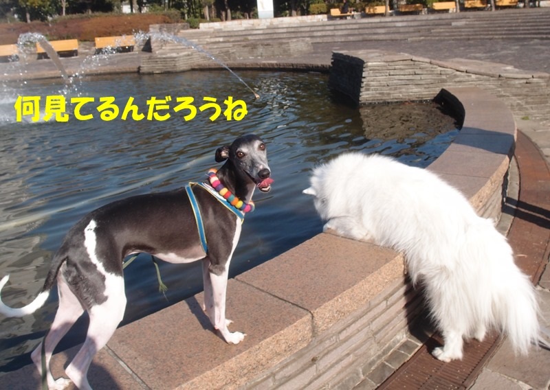 e0018604_20181900.jpg