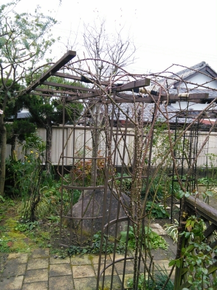 b0307008_19580519.jpg