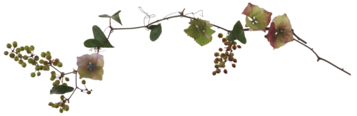 f0204110_17525525.png