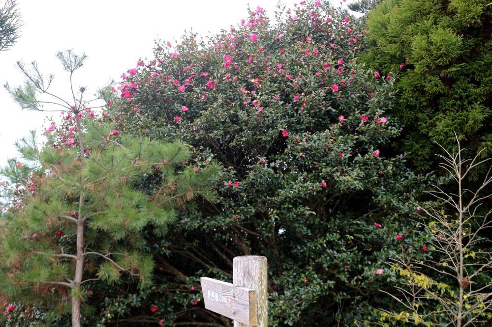 f0212511_21394230.jpg