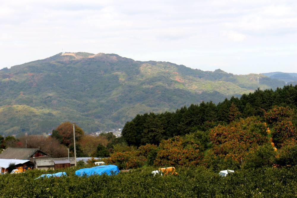 f0212511_21452523.jpg