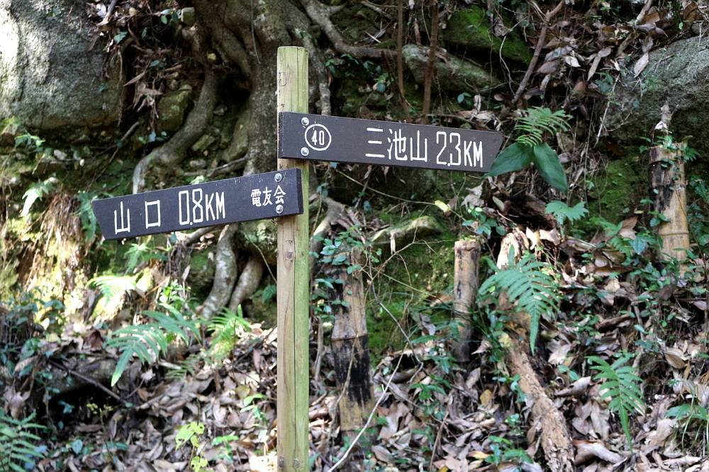 f0212511_21461511.jpg
