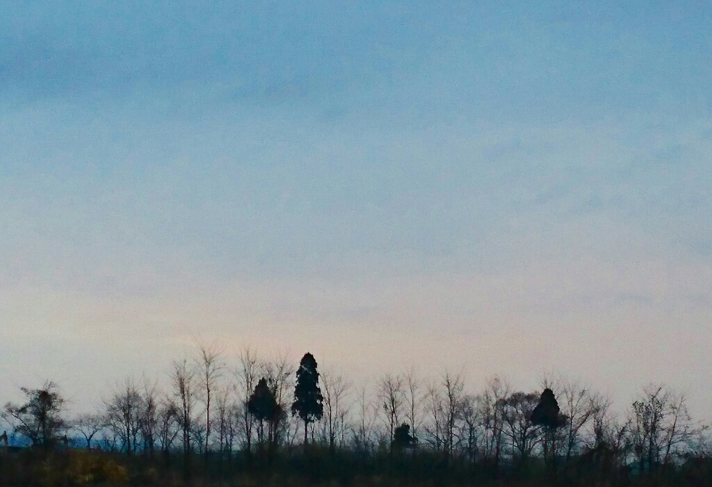 c0229025_17160999.jpg