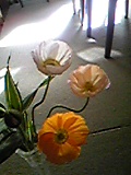 e0182926_1192746.jpg