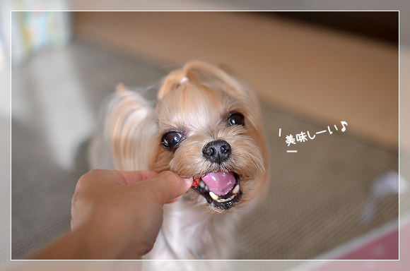 d0179828_13102150.png