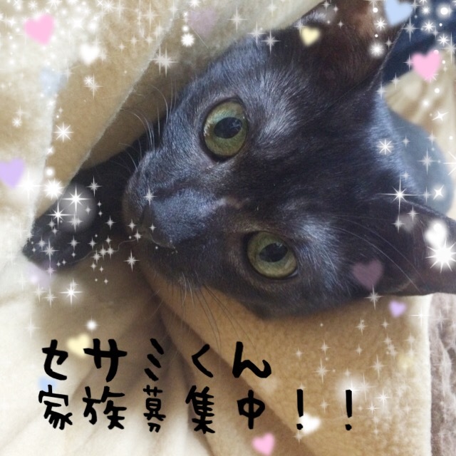 f0243134_08513584.jpeg