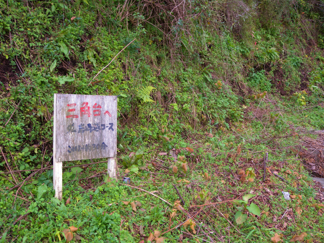 e0272335_1739309.jpg