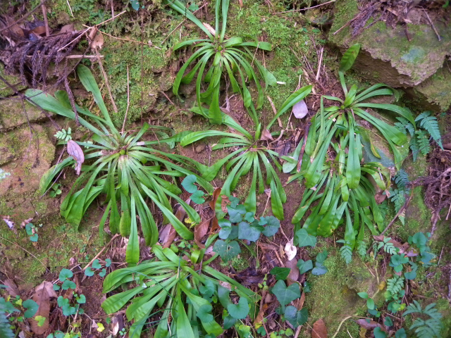 e0272335_17412990.jpg