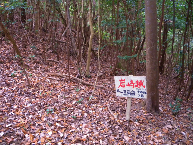 e0272335_17521018.jpg