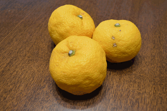 c0136736_19442583.gif